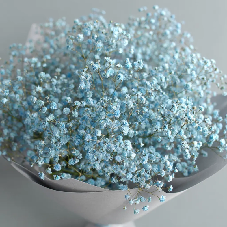 Монобукет из голубой гипсофилы