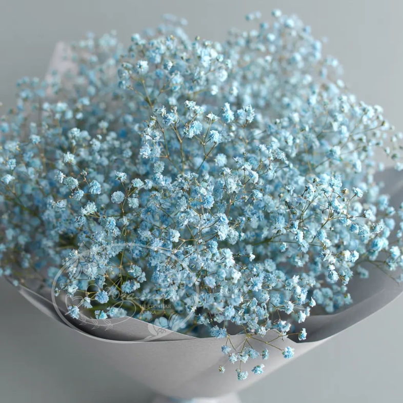 Монобукет из голубой гипсофилы