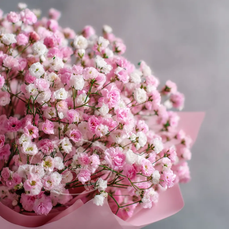 Монобукет из гипсофилы &laquo;Перламутровое облако&raquo;