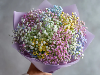 Монобукет из гипсофилы «Пушистая симфония»