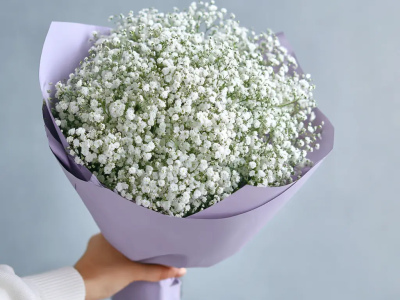 Монобукет из гипсофилы «Облачная нега»