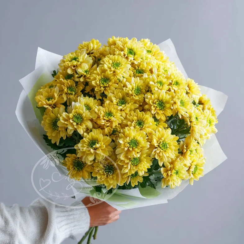 Монобукет из хризантем &laquo;Солнечное касание&raquo;