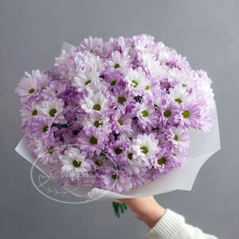 Монобукет из хризантем &laquo;Нежный комплимент&raquo;