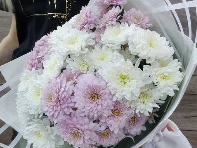 Букет из кустовых хризантем «Нежное облако»