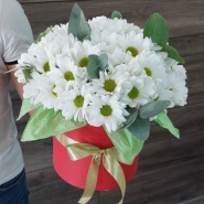 Ромашки в коробки &laquo;Летняя поляна&raquo; 0