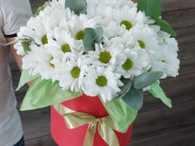 Ромашки в коробки «Летняя поляна»