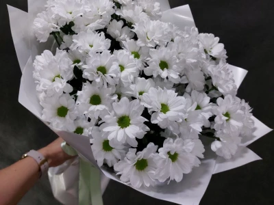 Букет из ромашковых хризантем «Привет, ромашки»