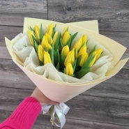 21 желтый тюльпан 0